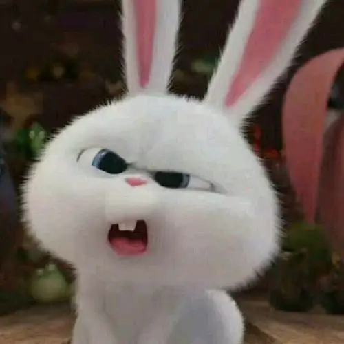 大家有没有爱宠大机密的兔子雪球snowball的头像啊