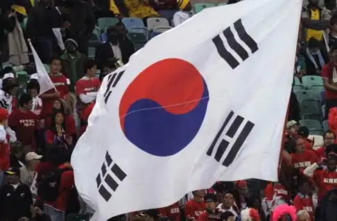 网友称他们的国旗设计有问题_子金_金大中_朝鲜半岛