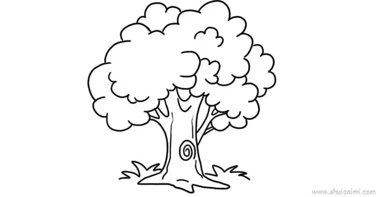 大树树干儿童画怎么画 大树树干简笔画图片大全