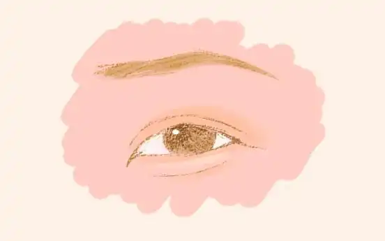 也可以说是媚眼,眼睛形状如柳叶,有丹凤眼的狭长而魅惑,还有桃花眼的