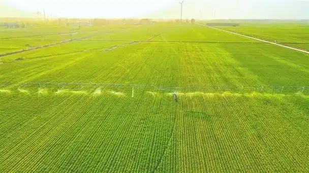 春耕春管正当时 农田尽显科技范(在希望的田野上)|春管|春耕|农田
