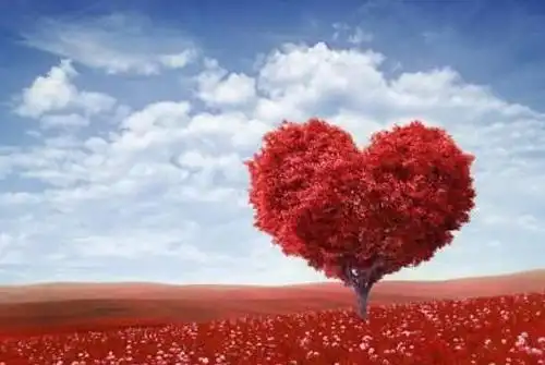 打动人心的5个字吸引人的短句5个字