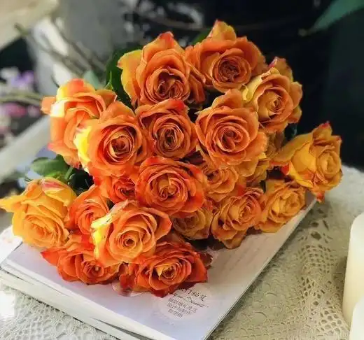 玫瑰·欢乐颂 - 花c鲜花供应链