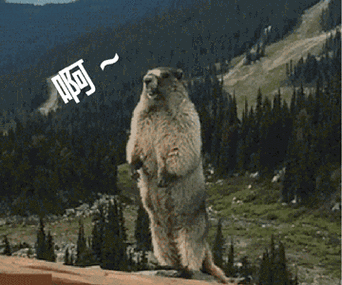 敢尝试狗啃刘海的女星那么多能hold住的却寥寥