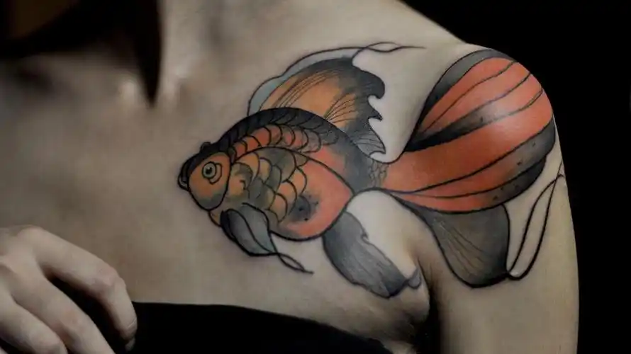 首先,属鸡的人平时可以选择和自己比较搭配的一些属相作为纹身的图案.