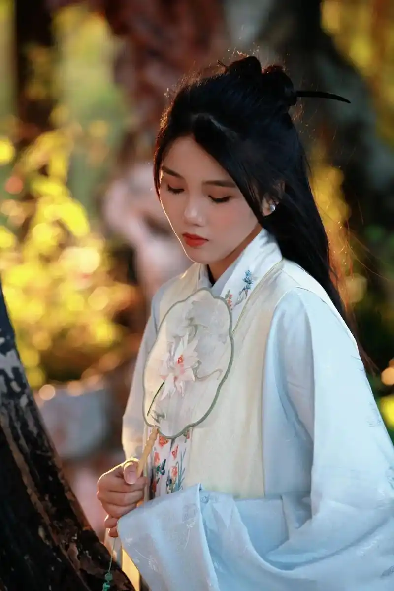 太平有象.#秋天 #氛围感 #古风 #汉服  - 抖音