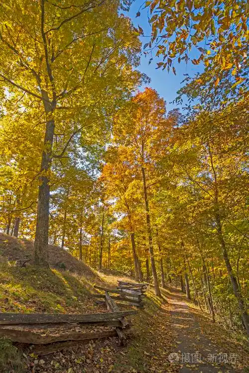 肯塔基州坎伯兰盖普国家公园秋天的安静山路