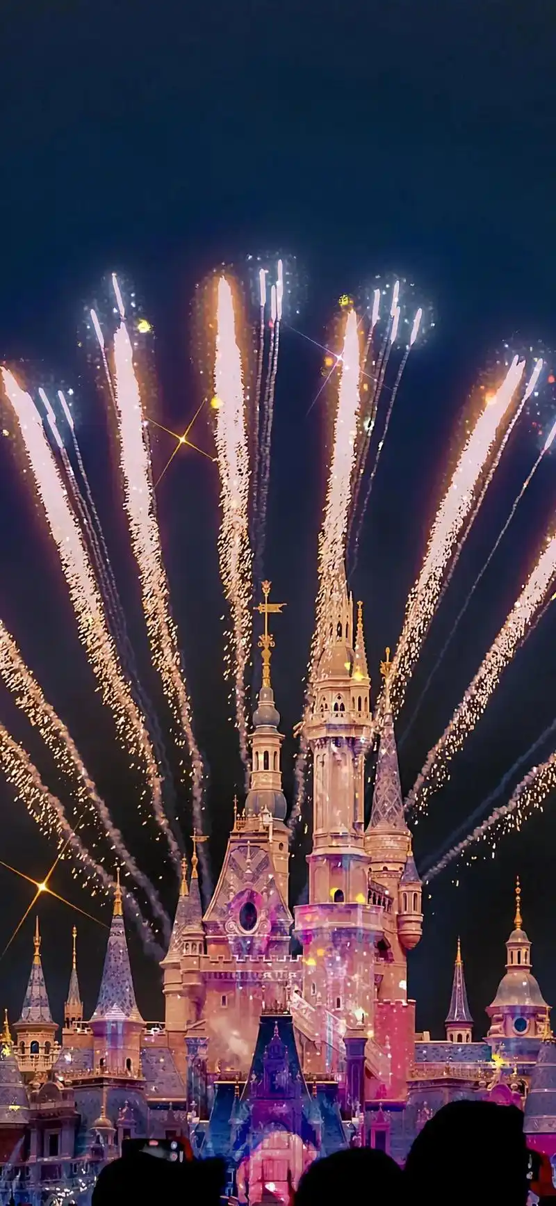 你的眼底都写满了对我的爱#梦幻城堡 #迪士尼烟花 #ipho - 抖音