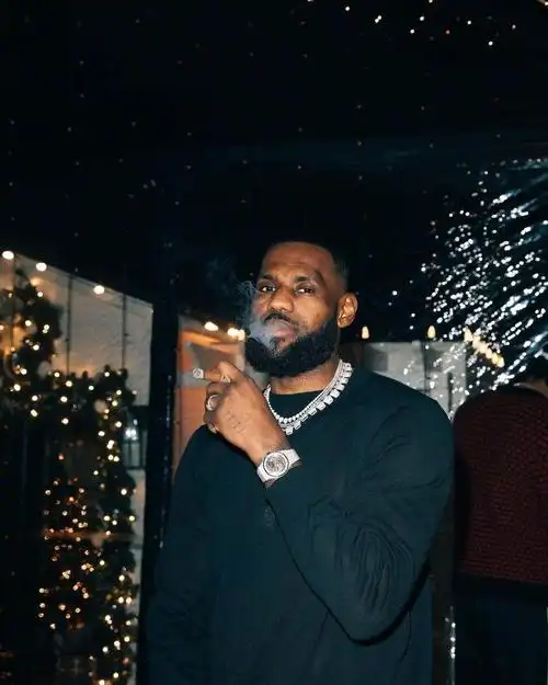 詹姆斯帅气,詹姆斯头像帅气-图片大观-奇异网