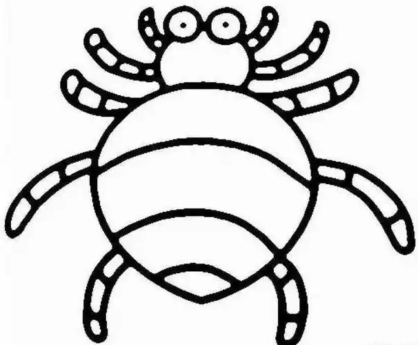 蜘蛛简笔画 蜘蛛简笔画可爱