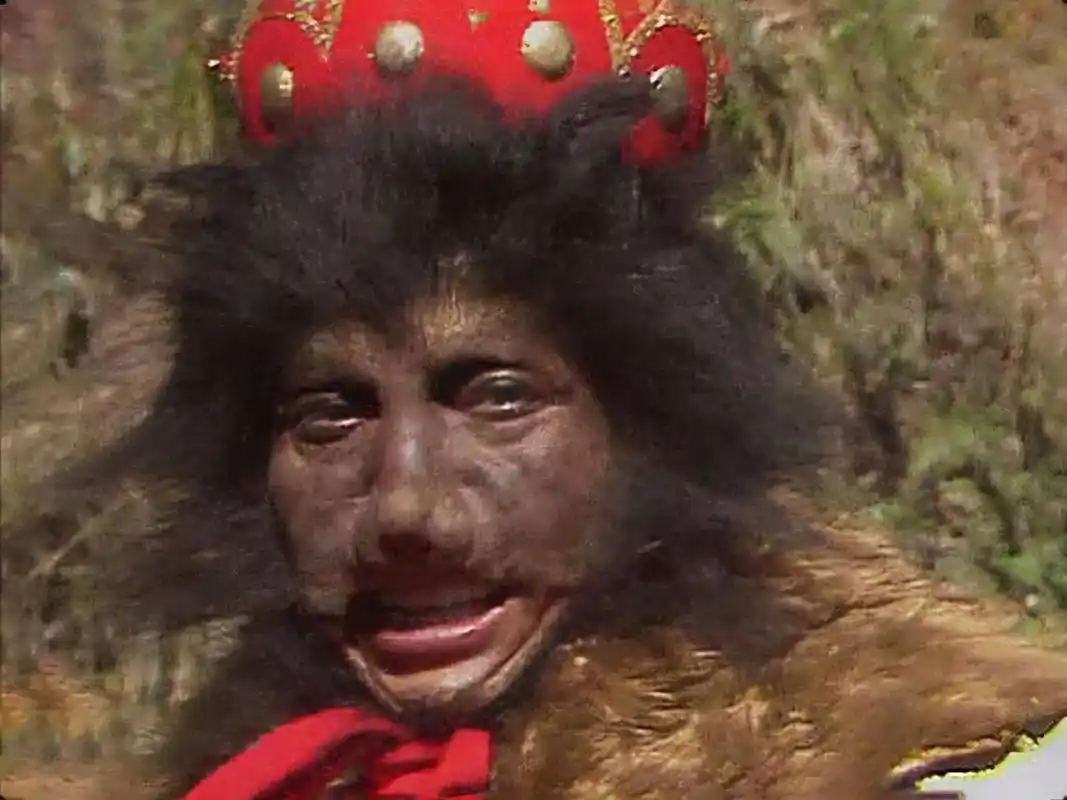 《西游记外篇1》中的黑熊怎么修炼成精的呢