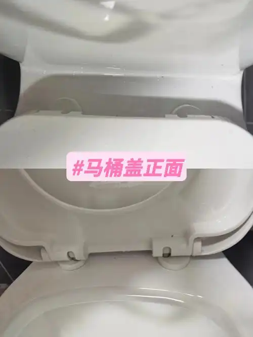 失败的换马桶盖遭遇