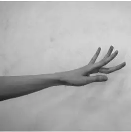 古典舞男女手形,手位与舞姿(图解)