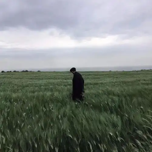 男人发朋友圈女人点赞高的句子