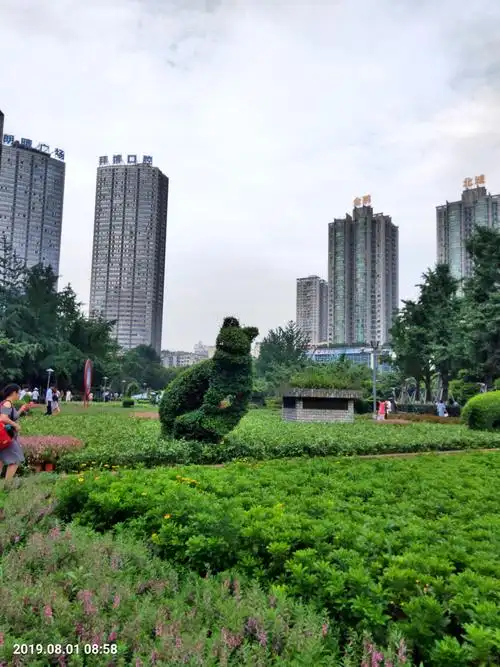 重庆嘉陵公园(观音桥)休闲游随拍美景照一拍摄于2019年8月1日