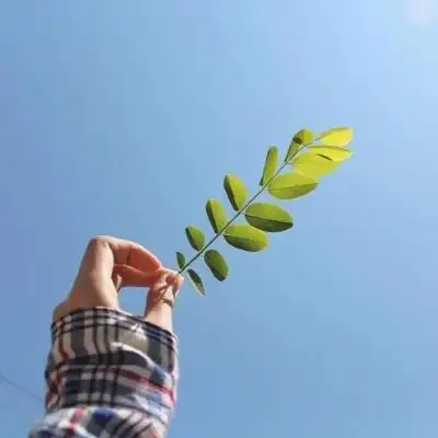 幸运头像微信专用2020 好运头像图片大全 - 微信头像 - 潮人个性网