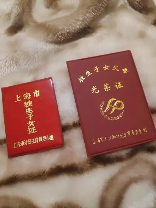 80后记忆之 独生子女证
