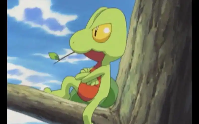 小智的宝可梦蜥蜴王篇上 [精灵宝可梦 ]_哔哩哔哩 (゜-゜)つロ 干杯