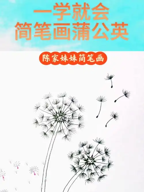 一学就会的蒲公英简笔画