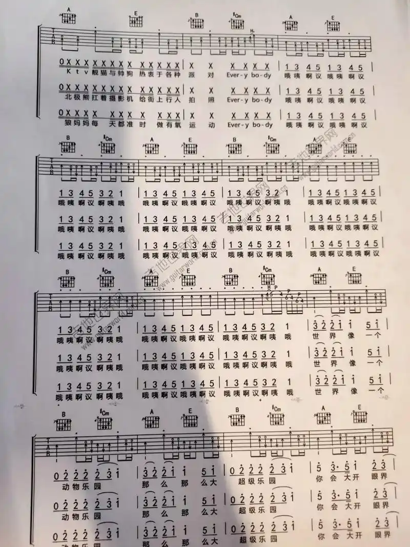 世界是个动物园  华晨宇 吉他谱 好难啊