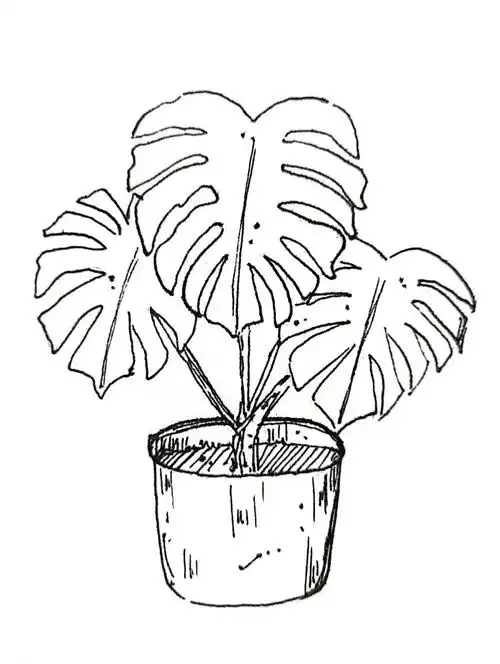 钢笔淡彩2030芭蕉