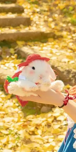 创意温暖摄影壁纸,这色调太治愈了吧