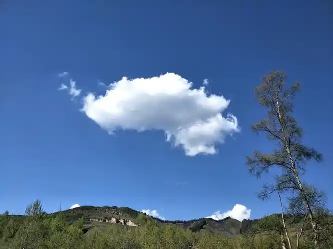 夏天来西宁避暑,顺便看看那里的蓝天白云