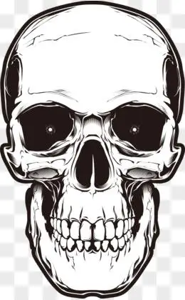 骷髅头卡通图片素材_免费骷髅头卡通png设计图片大全_图精灵