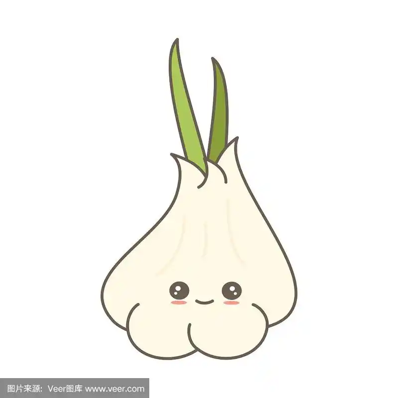 可爱的卡通大蒜矢量插图孤立在白色的背景