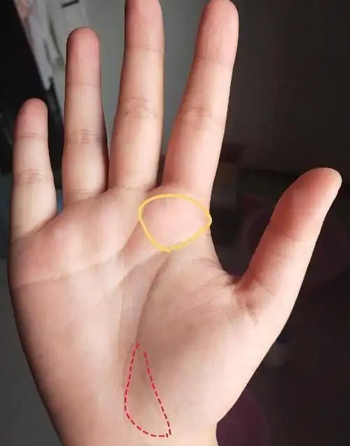 女人哪种手相是有财有福,女人右手心田字纹手相,5种手相的女人最有钱