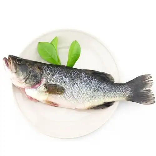 淡水鲈鱼1条约6两去内脏净重河鲈鱼花鲈新鲜ch