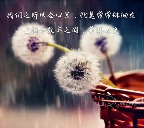 我们之所以会心累就是常常徘徊在坚持和放弃之间举棋不定