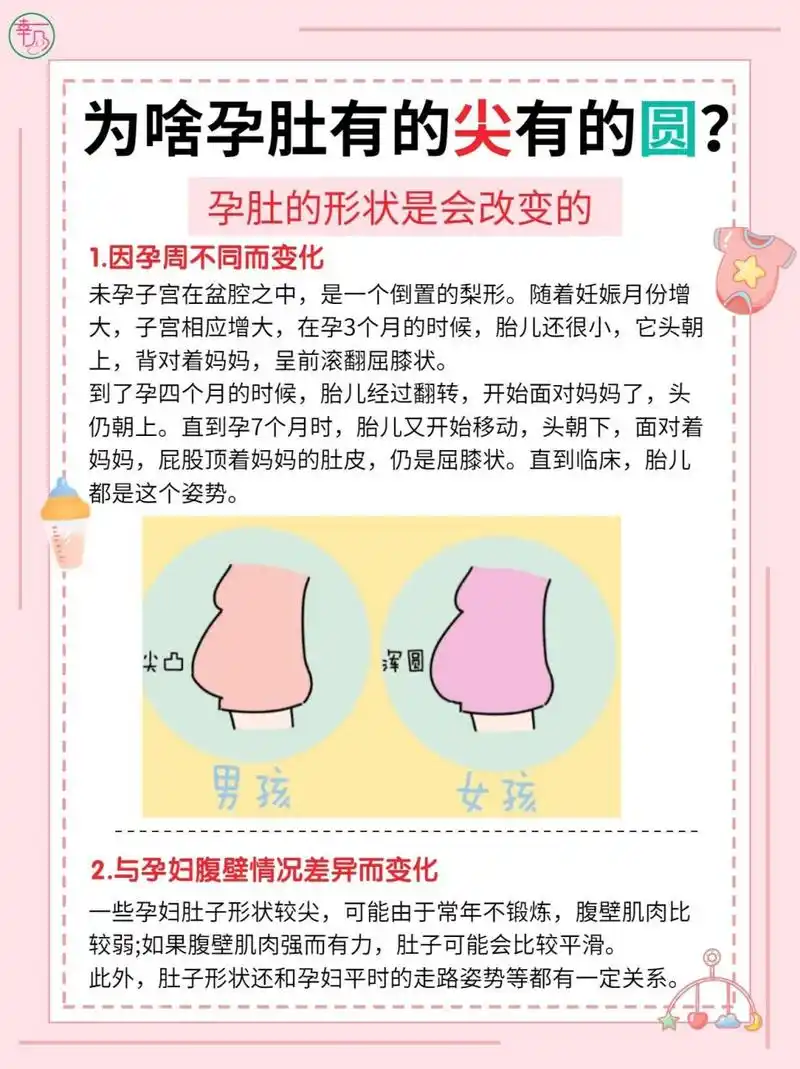 孕妇肚子"尖儿圆女"是真的吗71 0299肚子尖是男孩还是女孩:其实