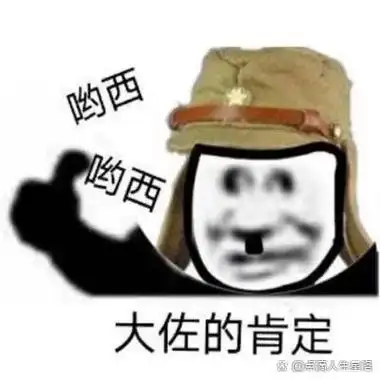 表情包之太君系列