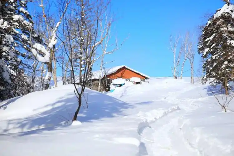 冰天雪地里出现黄色小屋,这画面应该是童话故事里才有的
