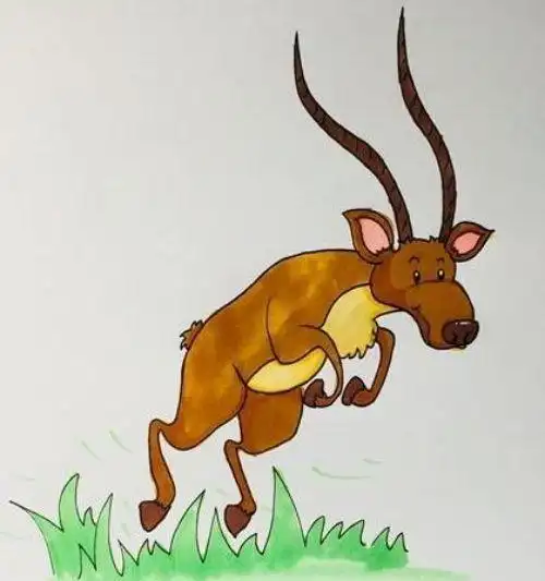 可爱彩色羚羊简笔画步骤卡通羚羊简笔画怎么画