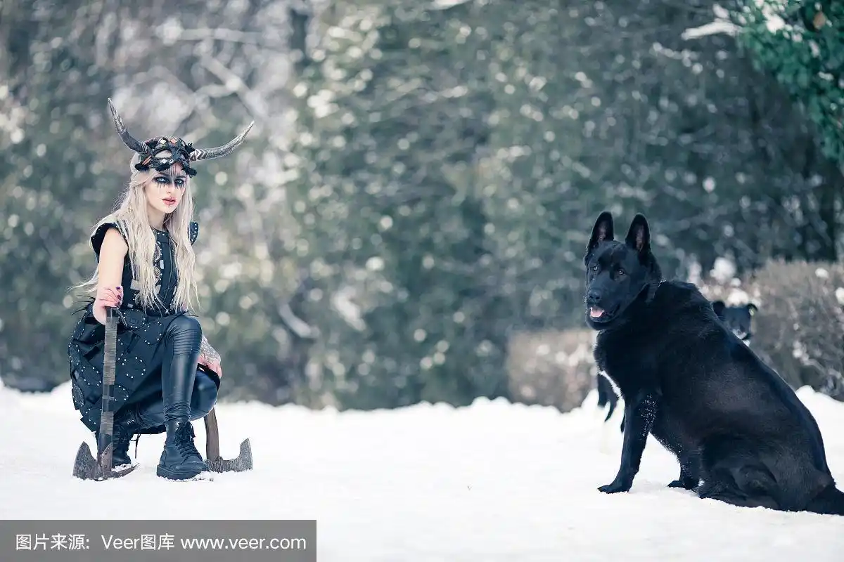 女战士在北欧海盗的形象与斧头和角头盔旁边的狗在冬天的森林.