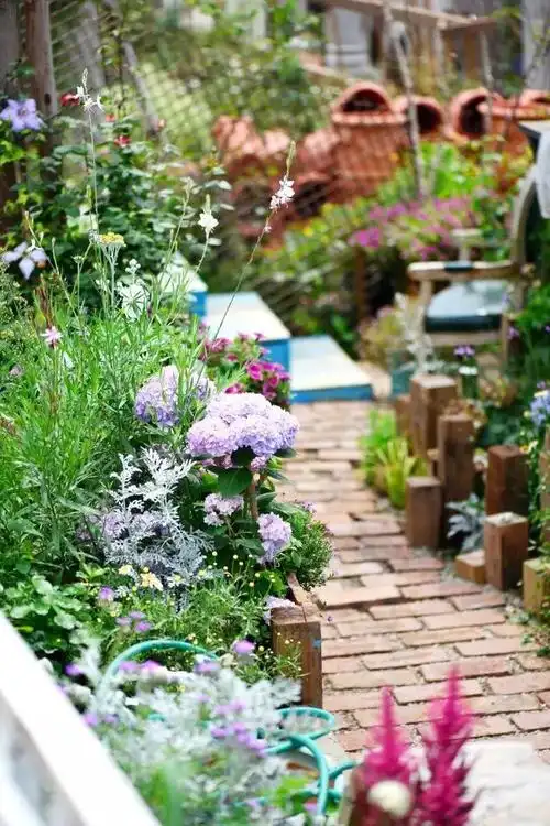 满足你对花园的所有幻想|盆景|庭院|园艺|花木|花境_网易订阅