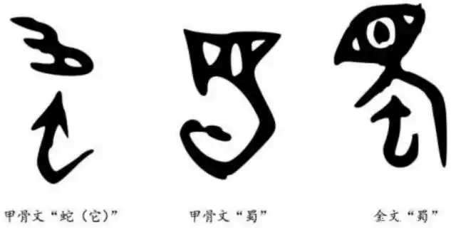 四川简称蜀,可有没有想过,为什么要叫蜀?到底和蚕有何关联?