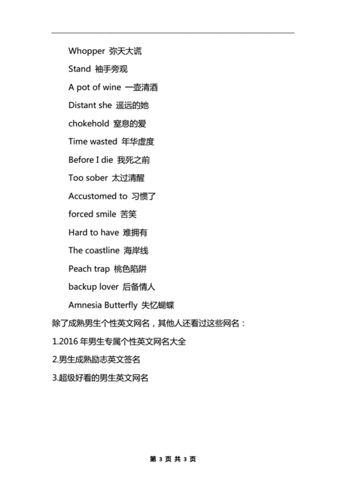 成熟男生个性英文网名男生成熟的网名docx3页