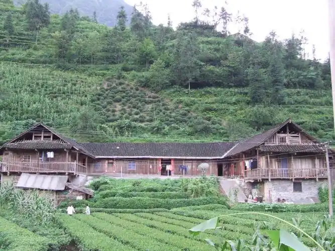 宜昌市五峰土家族自治县的吊脚楼木质结构的房屋为何能历经几代居住