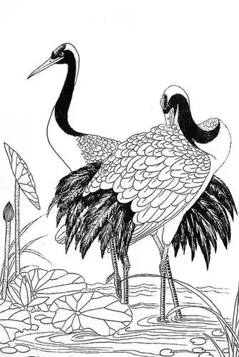 最全的白描花鸟仙鹤篇