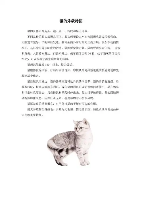 猫的外貌特征