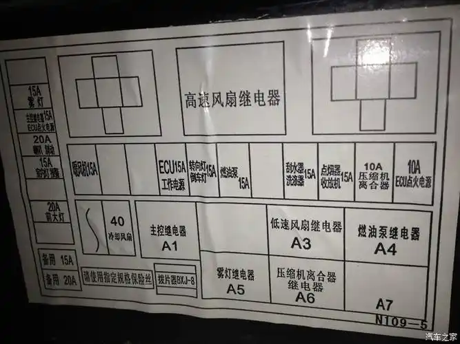 白血病保险公司管吗