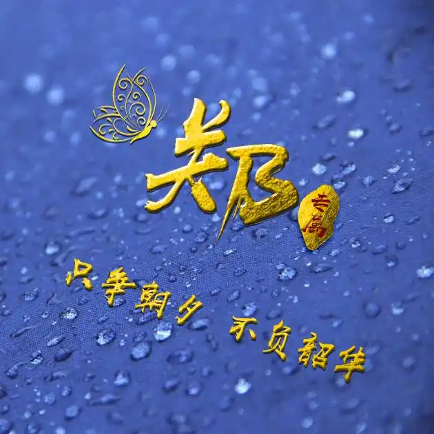 编号b02932张百家姓微信头像励志专属只争朝夕不负韶华