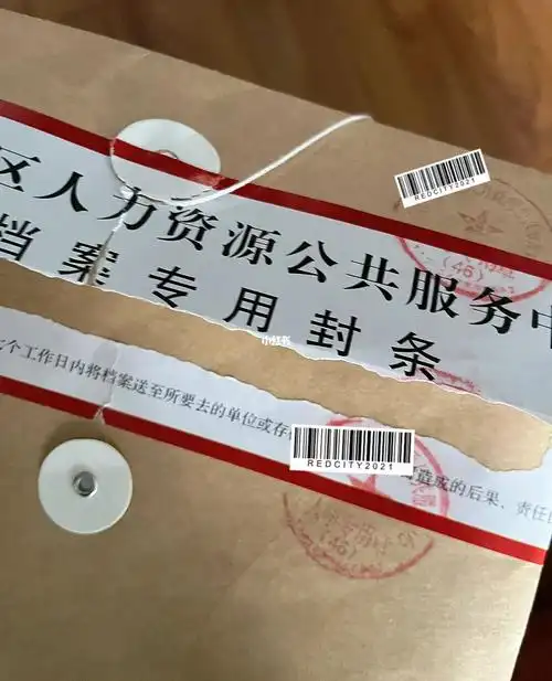 学校寄的档案袋