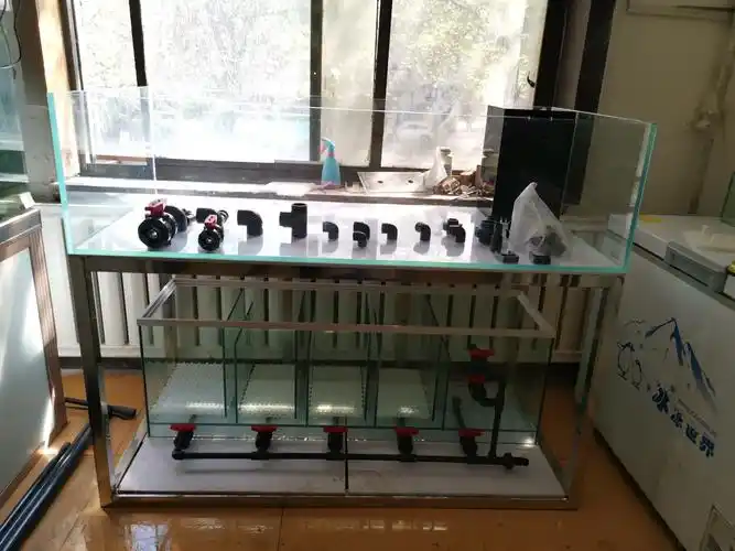 给小兰寿做个金鱼缸