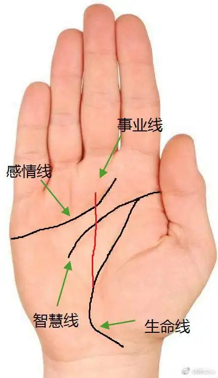 如果手相中的事业线起源于生命线,这就是职. 来自南山风水命理 - 微博