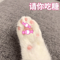 萌宠喵星人请你吃糖猫爪呆萌可爱gif动图_动态图_表情包下载_soogif