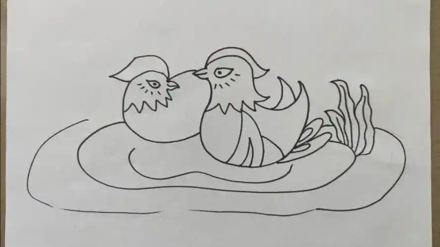鸳鸯简笔画 水里的鸳鸯简笔画